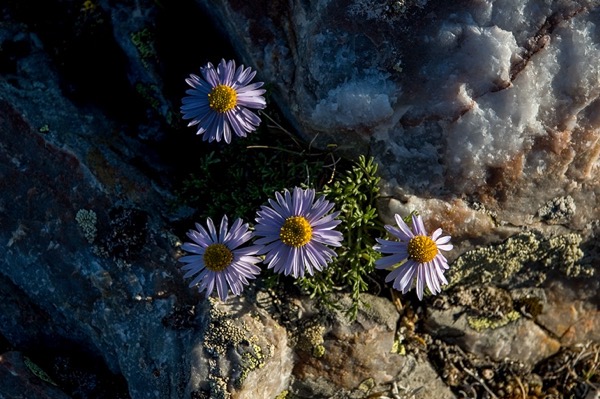 Outdoors photograph 49