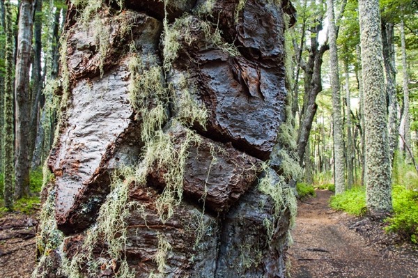 Outdoors photograph 5