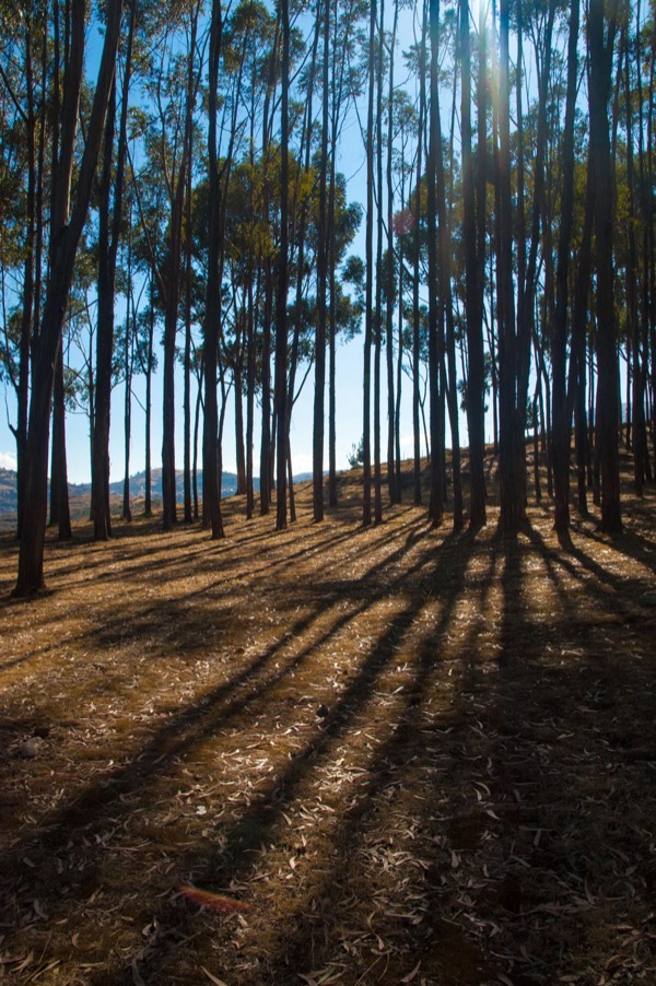 Outdoors photograph 41