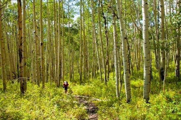 Outdoors photograph 29