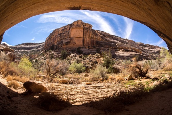 Outdoors photograph 25