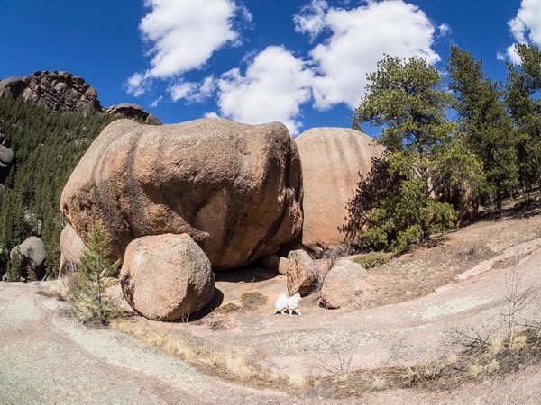Outdoors photograph 22