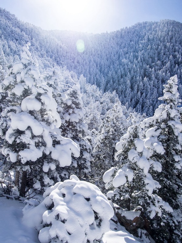 Outdoors photograph 11